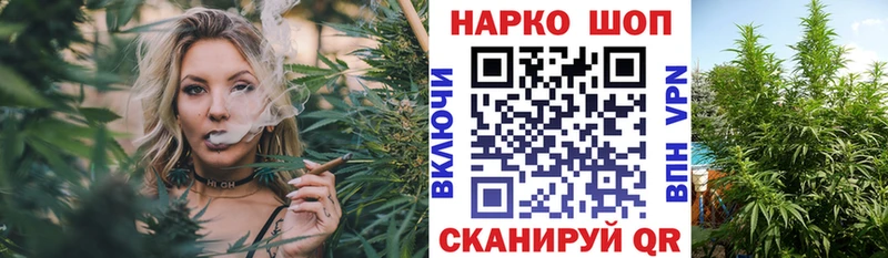 Цена Новозыбков COCAIN  Меф  Гашиш  МАРИХУАНА 