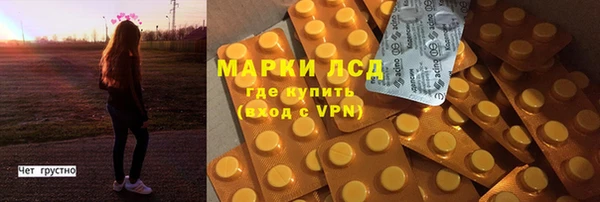 spice Верея