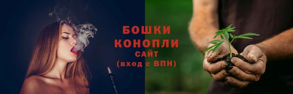 spice Верея