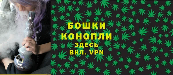 spice Верея