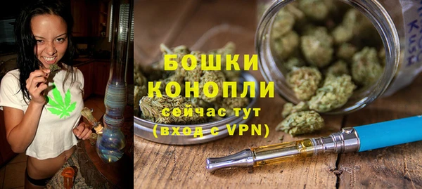 дживик Верхний Тагил