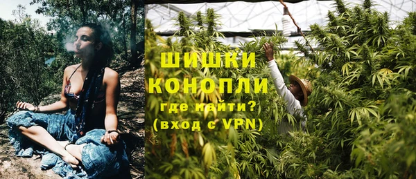 spice Верея