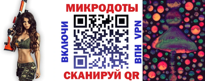 как найти закладки Новозыбков кракен онион Псилоцибиновые грибы Psilocybine cubensis
